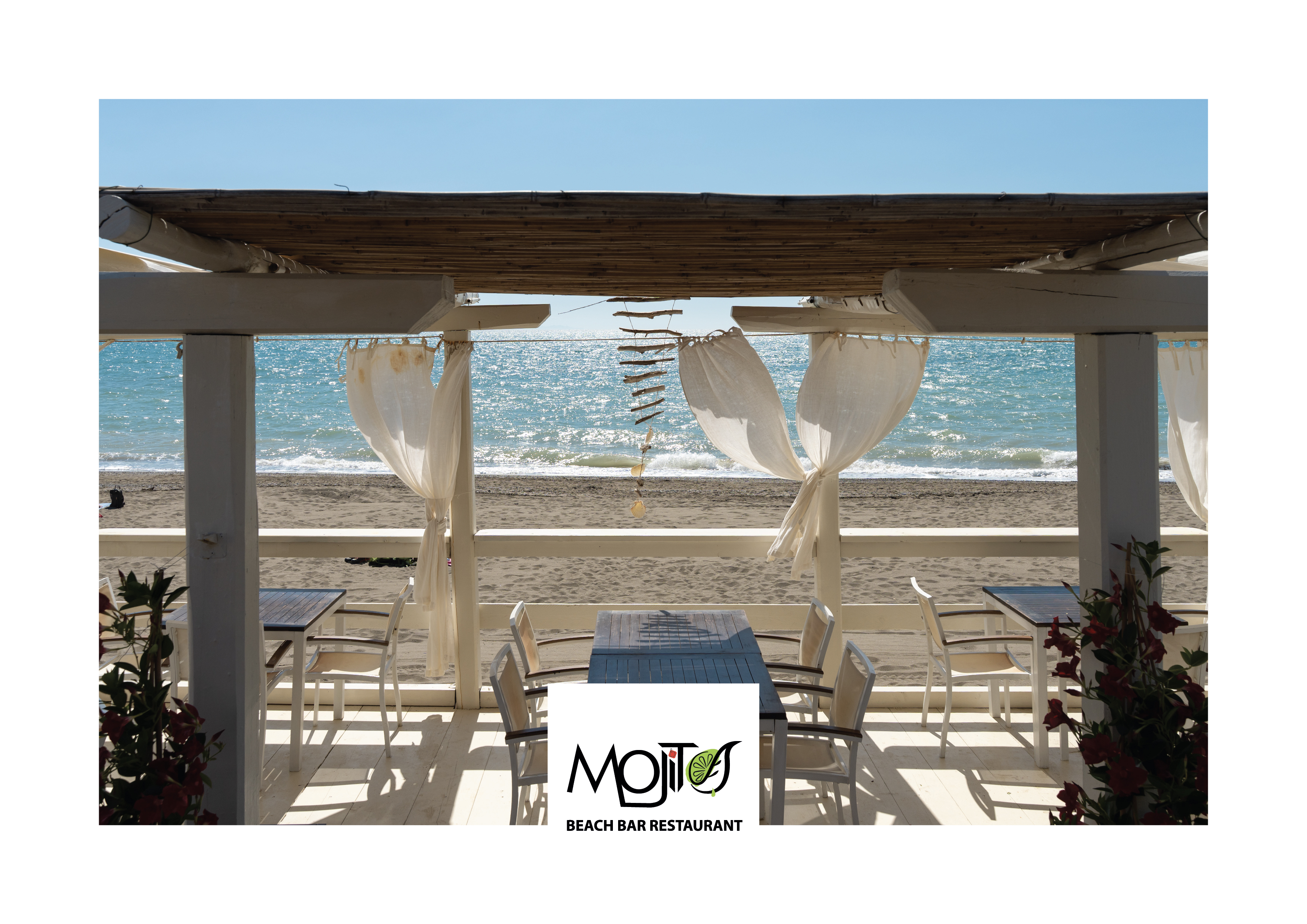 MOJITO POSTCARD
